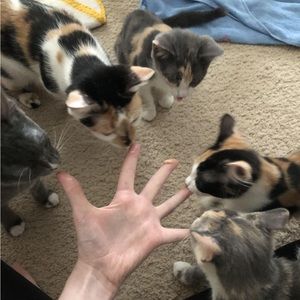 Meet your Posher, Sienna